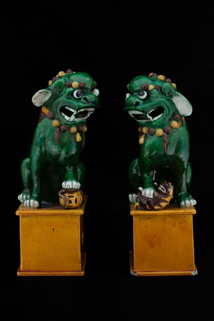 Coppia di cani di Pho