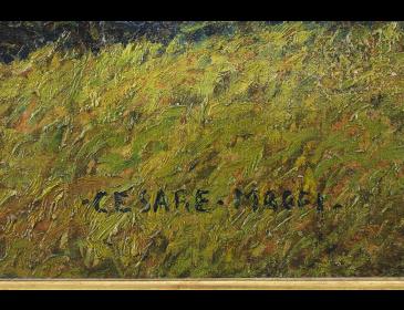 CAESAR MAGGI