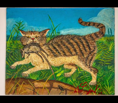 Hunting cat